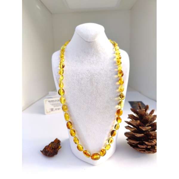 Rusya Kaliningrad Orijinal Kehribar Kolye