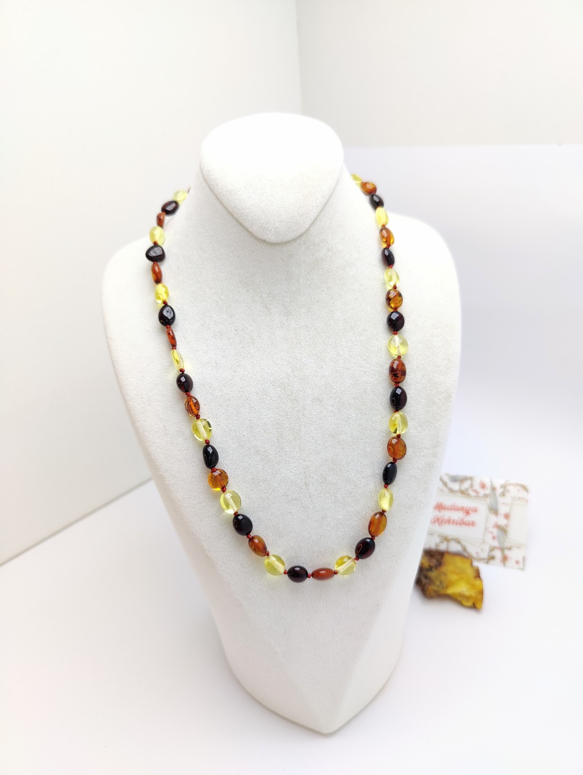 IMG20250227233311~2_copy_1200x1596